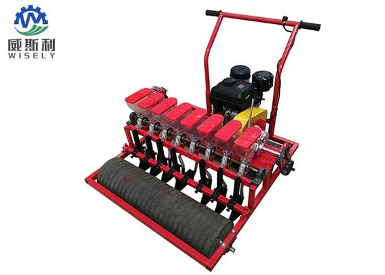 China Small Lettuce Planting Machine 8-15cm Row Spacing Manual / Automatic Type supplier